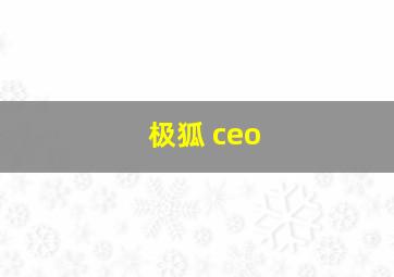 极狐 ceo